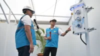 pln