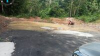 IMG-20250319-WA0045