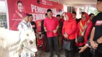 IMG-20250606-WA0012