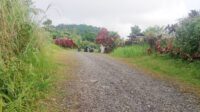 IMG-20250814-WA0006