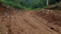 Kondisi lokasi PETI yang disebut milik Ko Fanny, terpantau sudah merambah kawasan Hutan Lindung (HL) Pegunungan Simbalang, Kecamatan Kotabunan, Boltim. (Istimewa)
